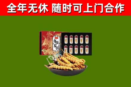 红山烟酒回收冬虫夏草礼盒.jpg