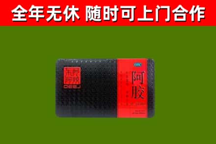 红山回收阿胶