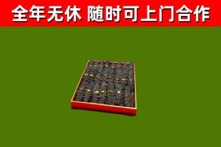 红山回收海参